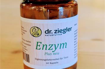 Enzym Plus Neu