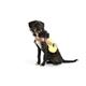 Leuchtweste Hund LED L